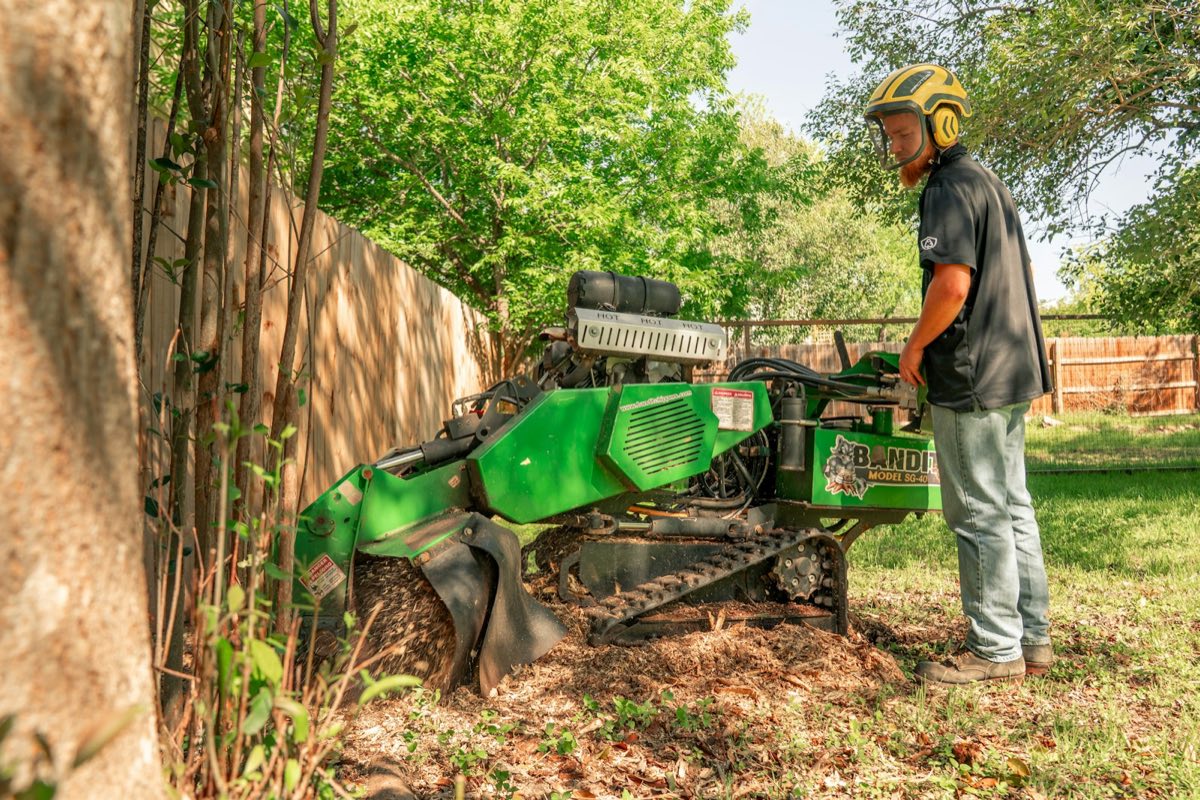 A worker in a helmet with ear defenders operating a tracked stump grinder in a garden