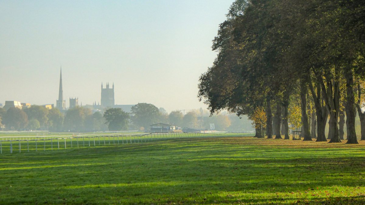 A row of mature trees on Worcester Racecourse with the cathedral tower in the distance